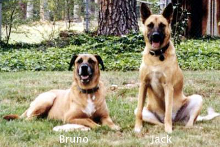 Jack and Bruno